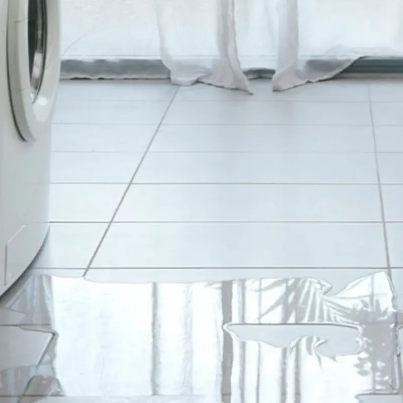 Appliance Leak Cleanup in Murphy, NC