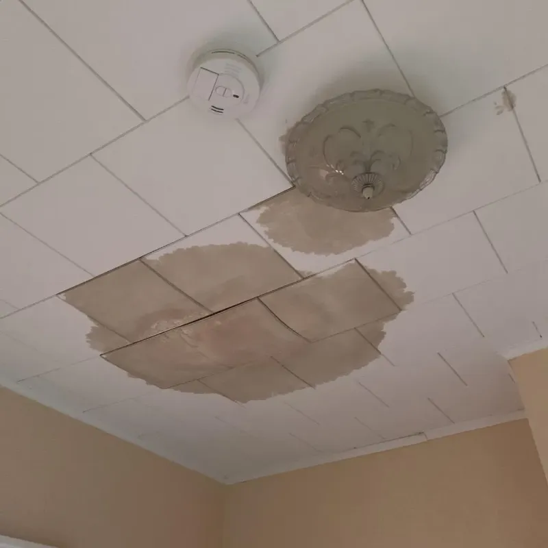 Ceiling Water Damage Repair in Murphy, NC